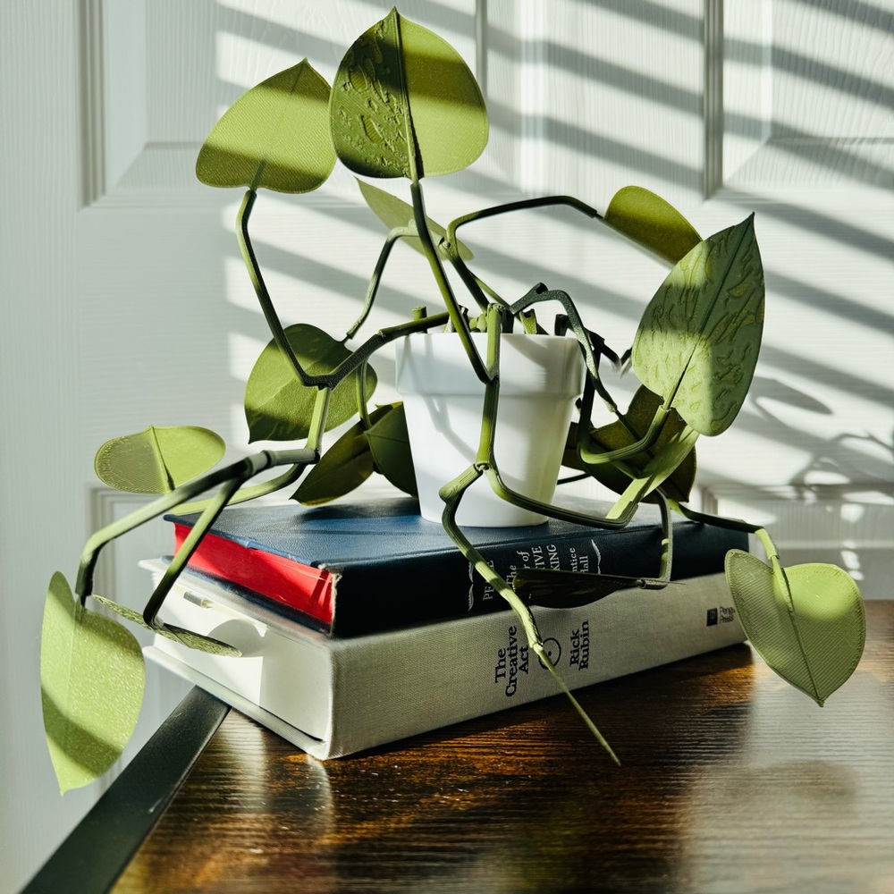 3D-Printed Pothos Plant – No Watering Needed! - Picture 3 of 14